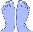 blue-feet