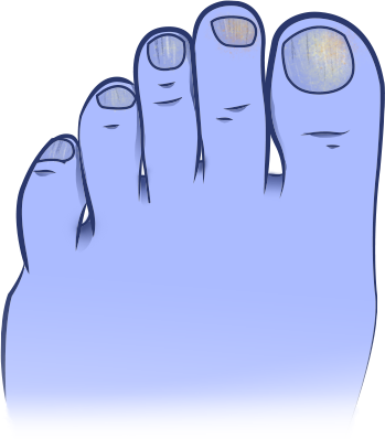 blue-foot